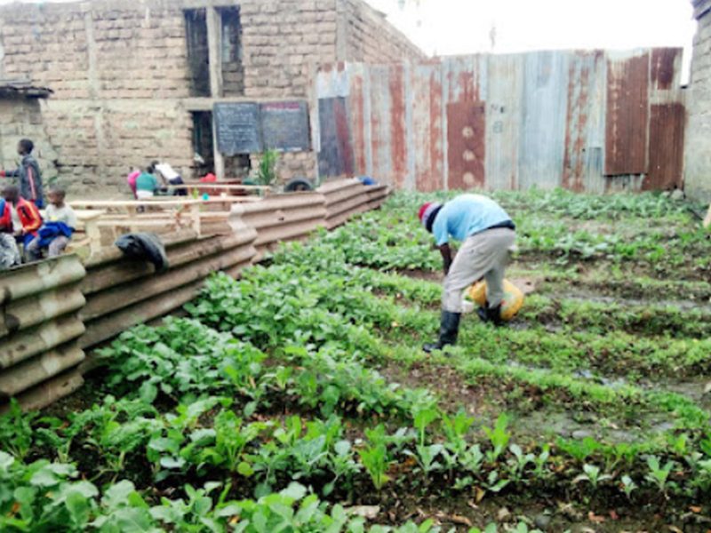 Potager en planches, une personne s'occupe des cultures